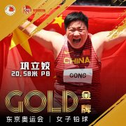铅球——田径比赛专用器材