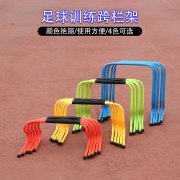 2025年全国撑竿跳高单项赛竞赛规程