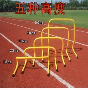 金陵体育涨203%成交额109亿元主力资金净流出16253万元
