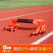 灵台：升级体育设施 助力全民健身
